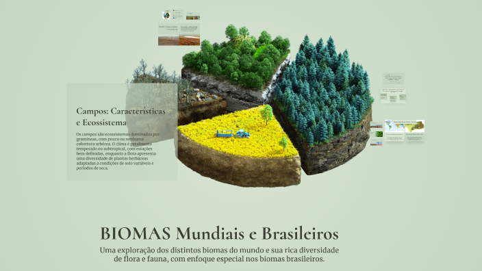 BIOMAS Mundiais e Brasileiros by gfacundes56 on Prezi