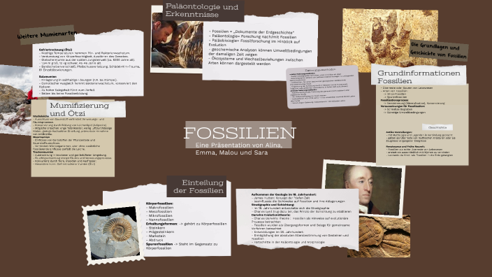 Biologie Fossilien By Sarah Naumann On Prezi