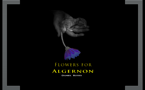 Flowers For Algernon Presentation By