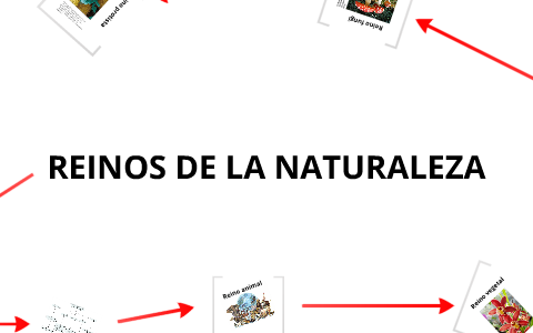 REINOS DE LA NATURALEZA by Xiomara Ordóñez on Prezi