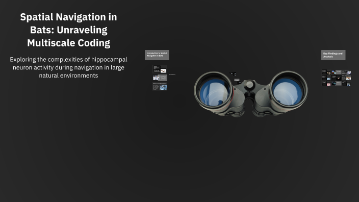 Spatial Navigation in Bats: Unraveling Multiscale Coding by ANSHUL ...