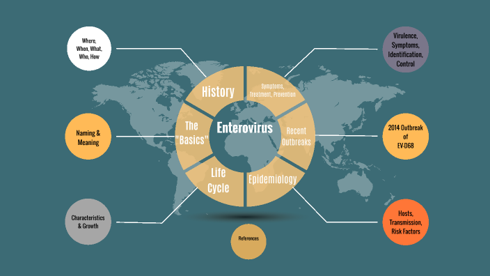Pathogen Project: Enterovirus by Gretchen Dwenger on Prezi