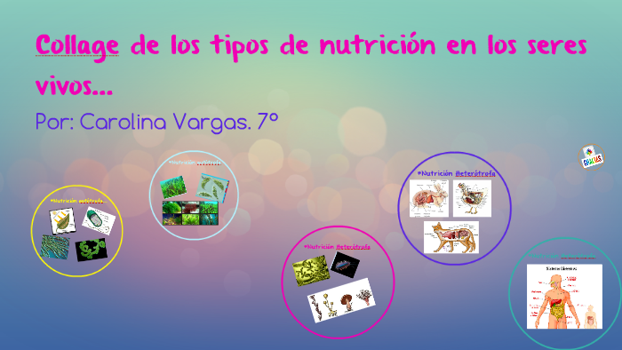 Collage Tipos De Nutrición By CAROLINA VARGAS On Prezi