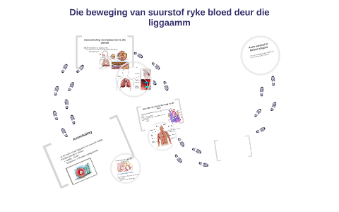 Asemhaling, gaswisseling, bloedsomloop en respirasie by Monika Kotze on ...