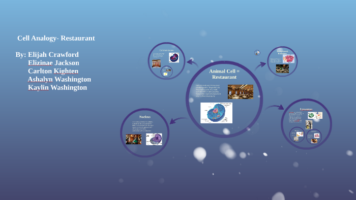 Restaurant Cell Analogy By Elijah Crawford On Prezi 3427