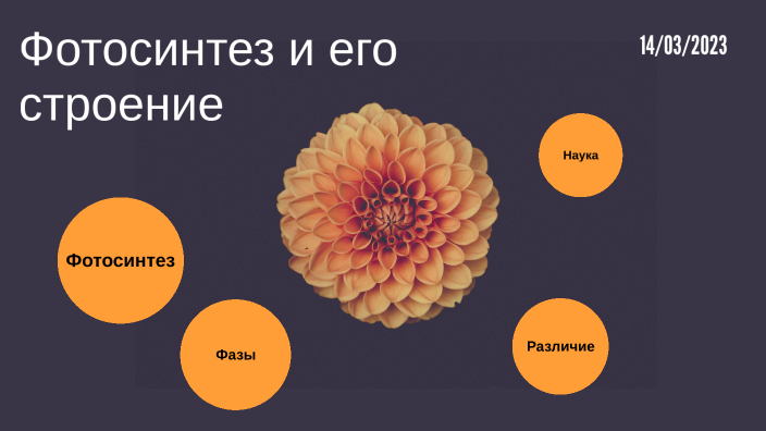 биология by Диля Адепбай on Prezi