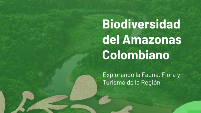 Biodiversidad Del Amazonas Colombiano By David Muñoz On Prezi