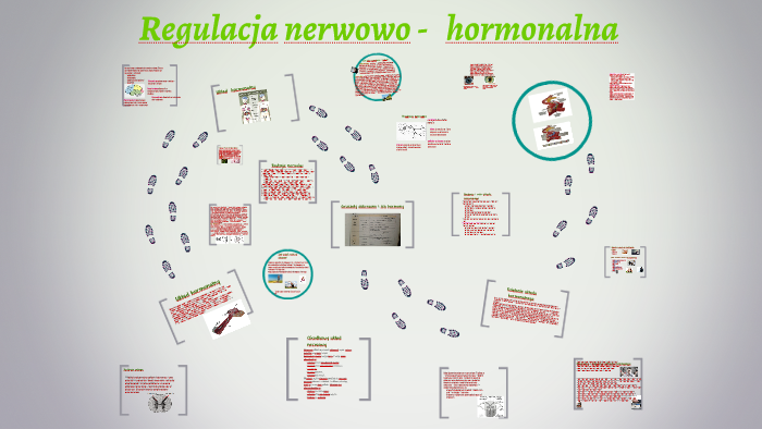 Regulacja Nerwowo Hormonalna Klasa 7 Regulacja nerwowo - hormonalna by Julia B on Prezi