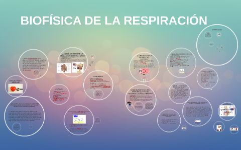 BIOFÍSICA DE LA RESPIRACIÓN by Camila Orozco on Prezi