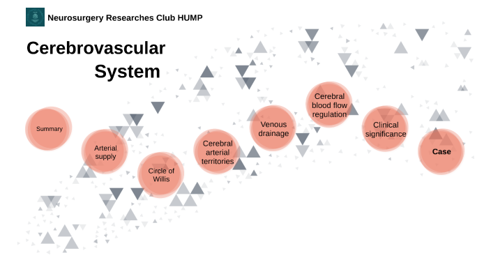 CEREBROVASCULAR SYSTEM by Thanh Nguyễn Thị on Prezi