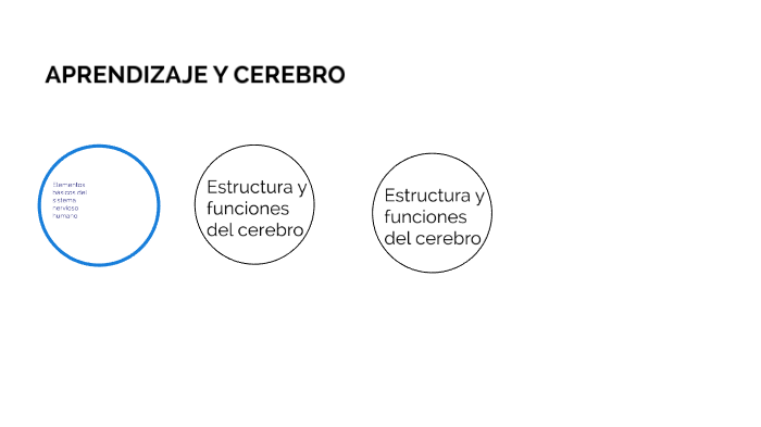 APRENDIZAJE Y CEREBRO by Carmen Orozco on Prezi