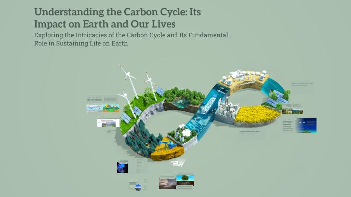 Understanding the Carbon Cycle: Its Impact on Earth and Our Lives by ...