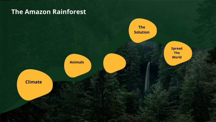 Amazon Rainforest Ecosystem Science Project by Hasan Yu on Prezi