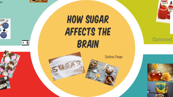 write an informative essay about how sugar affects the brain