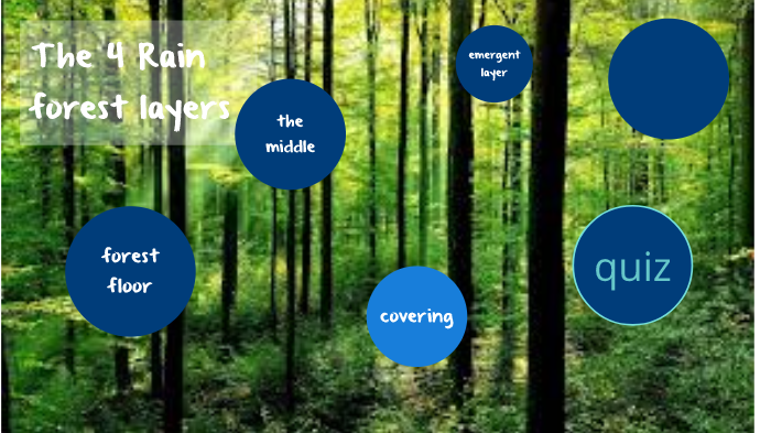 Rainforest Layers by talyn smith on Prezi