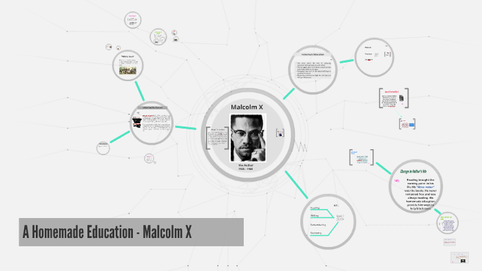 malcolm x homemade education