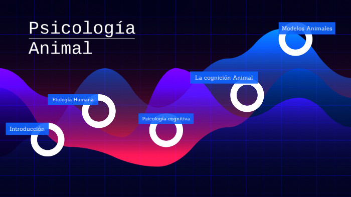 Psicologia de Animalitos by Emmanuel Guadarrama on Prezi Next Psicologia de Animalitos by Emmanuel Guadarrama on Prezi Next