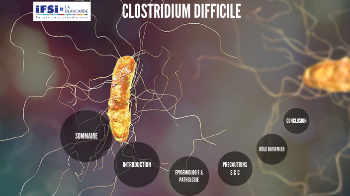 clostridium difficile by Kenza Ghezali on Prezi