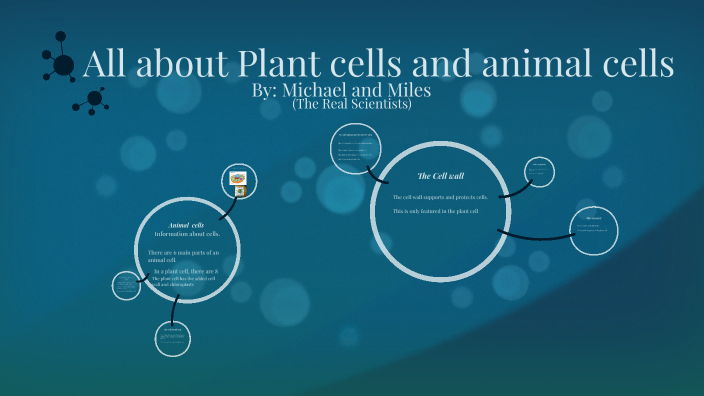 All about Plant cells and animal cells by Miles Comiso on Prezi