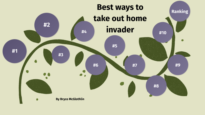 Best Ways To Take Out Home Invader By Bryce Mcglothlin