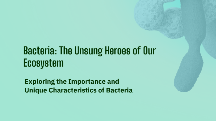 Bacteria: The Unsung Heroes of Our Ecosystem by Daniel Cotrina Rivera