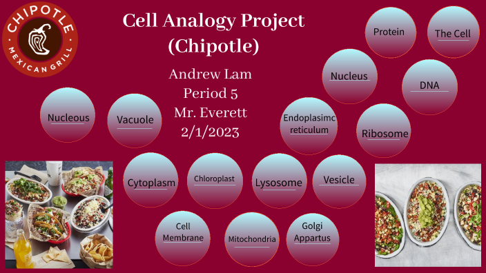 Cell Analogy Project By Andrew Lam On Prezi 6854