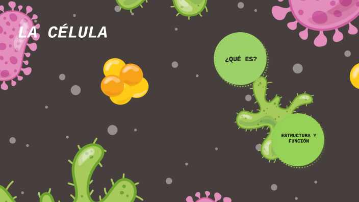 LA CELULA EUCARIOTA by laura lopez on Prezi