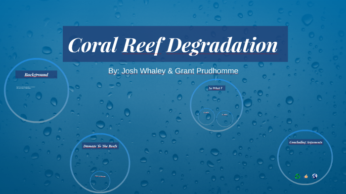 Coral Reef Degradation by Joshua Whaley on Prezi