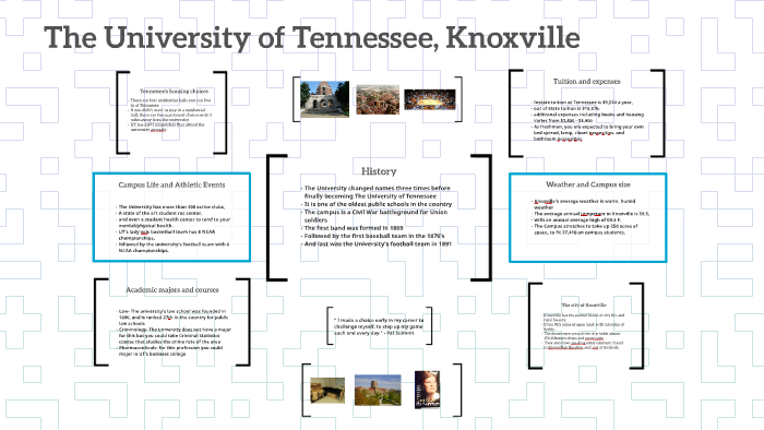university of tennessee knoxville essays