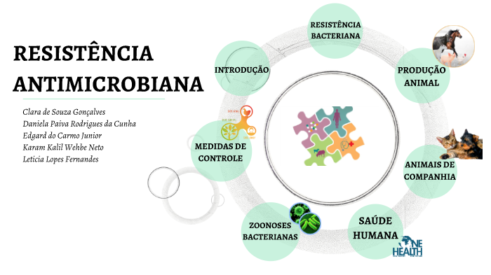 Resistência Antimicrobiana By Clara Souza On Prezi