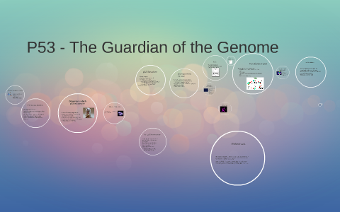 P53 - The Guardian Of The Genome By Haley Bednarz On Prezi