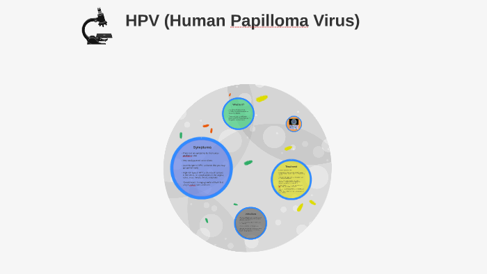 Hpv Human Papillomavirus By Megan Hoang