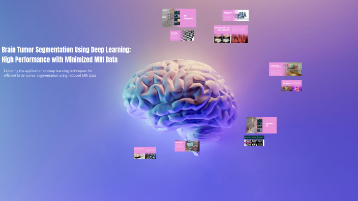 Brain Tumor Segmentation Using Deep Learning: High Performance with ...
