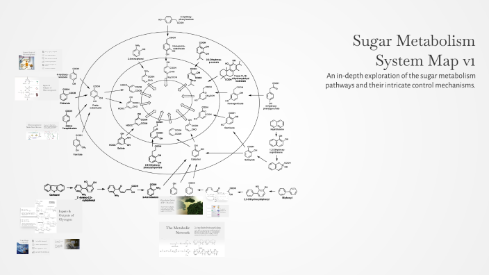 Sugar Metabolism System Map v1 by Wajih Syed on Prezi
