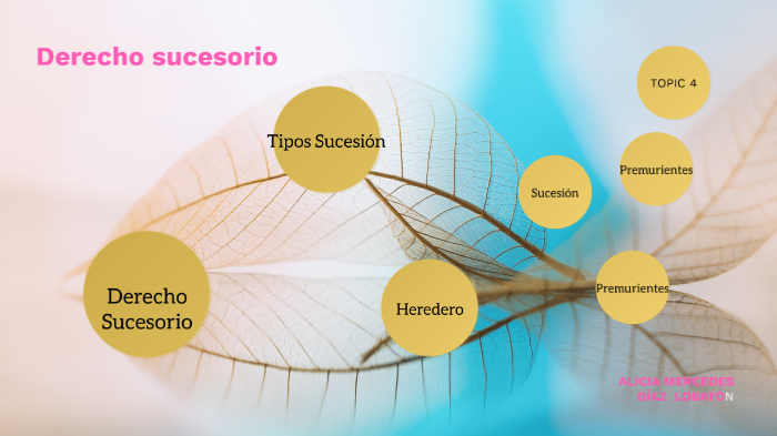 Conceptos Básicos De Derecho Sucesorio By Alicia Díaz Lobatón On Prezi