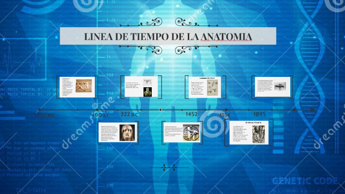 LINEA DE TIEMPO DE LA ANATOMIA by Yerson Arias on Prezi