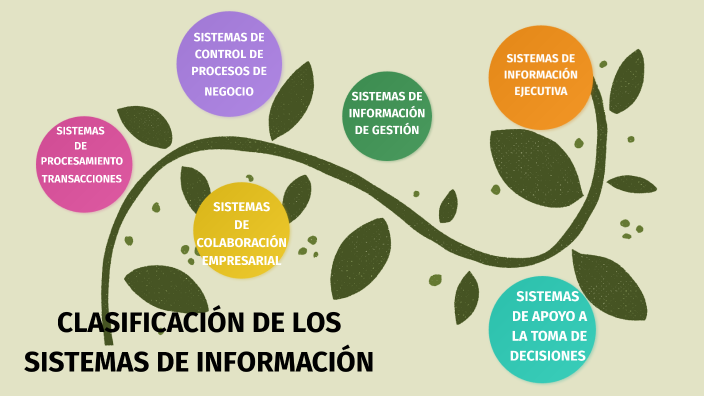Clasificacion De Los Sistemas De Informacion