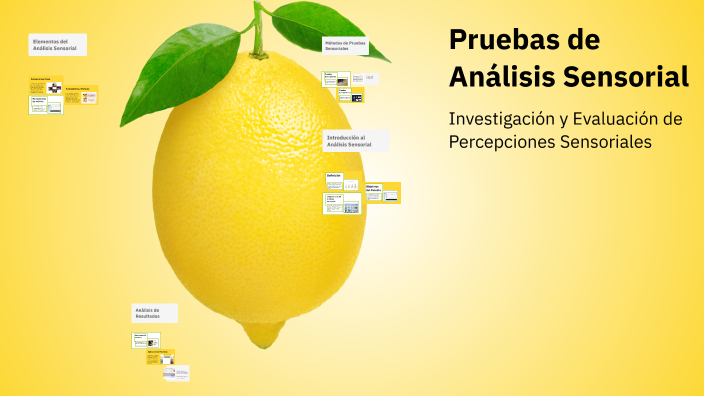 Pruebas de Análisis Sensorial by Pilar Ibata Roa on Prezi