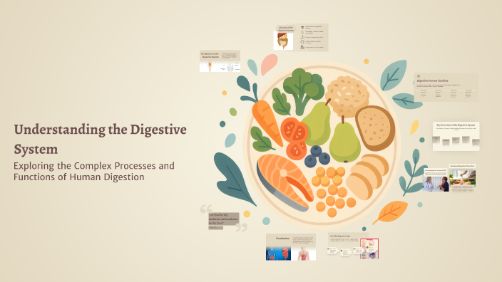 Understanding the Digestive System by Majda Pejagic on Prezi
