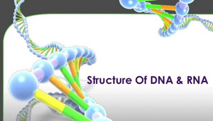 Dna: The Code Of Life - Grade 12 Life Science Lesson By Kefiloe Khaole 