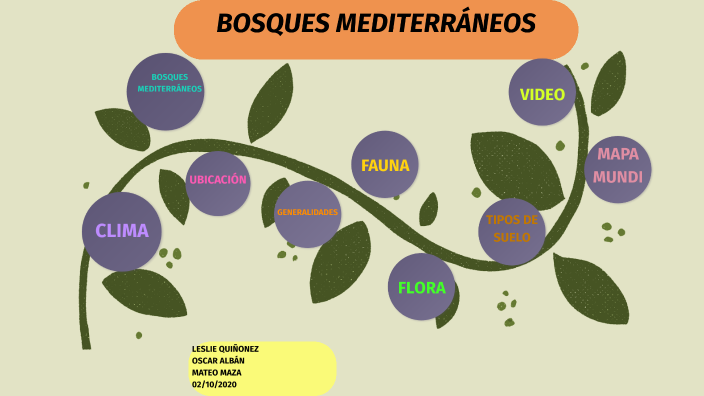 BOSQUES MEDITERRÁNEOS by Leslie Quiñonez on Prezi Next BOSQUES MEDITERRÁNEOS by Leslie Quiñonez on Prezi Next