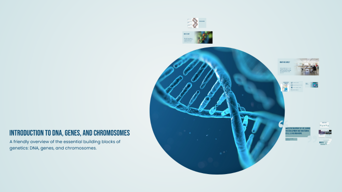 Introduction to DNA, Genes, and Chromosomes by Princess Kate Luganao on ...