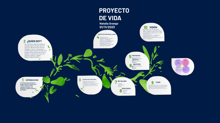 PROYECTO DE VIDA by Karol Molina on Prezi