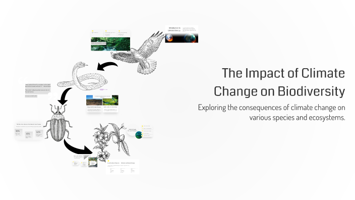 The Impact of Climate Change on Biodiversity by Muzammil Nizami on Prezi