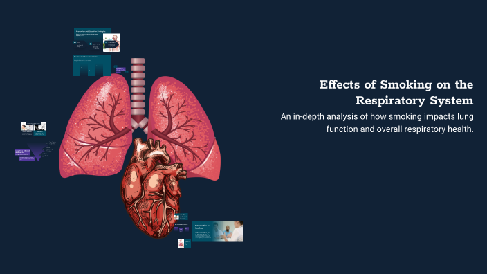 Effects of Smoking on the Respiratory System by sanija kolasinac on Prezi