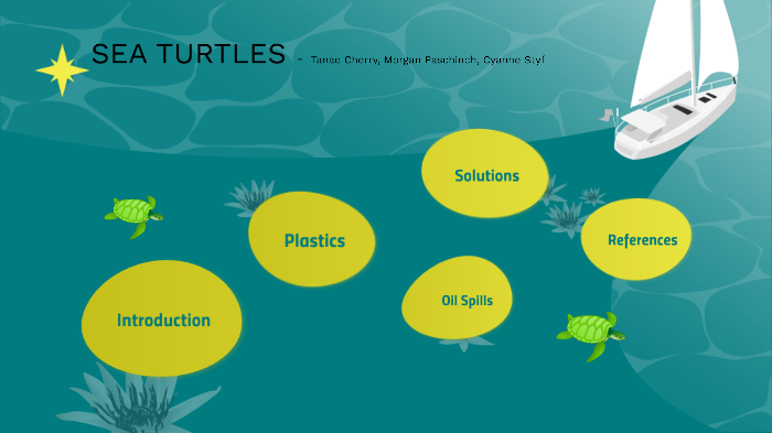 Sea Turtles by Cyanne Styf on Prezi