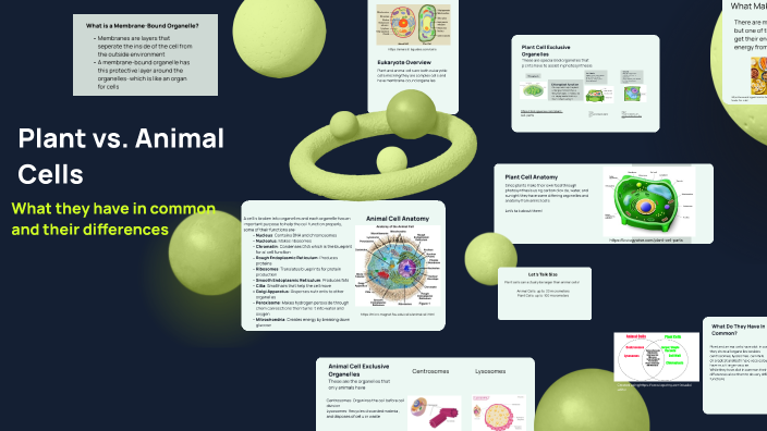 Plant vs. Animal Cells by Austin Mc on Prezi