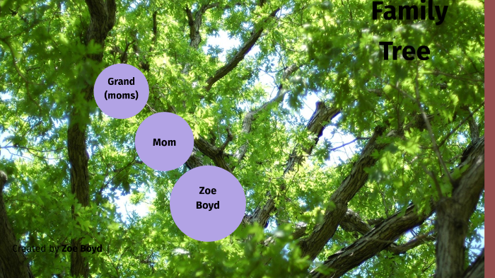 My family tree by Zoe Boyd on Prezi