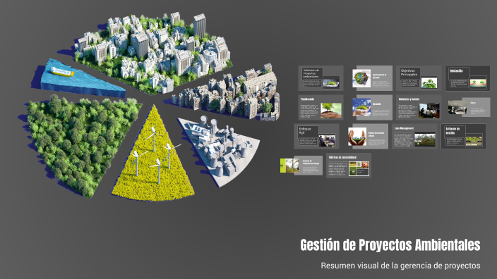 Gestión de proyectos by laura celin on Prezi