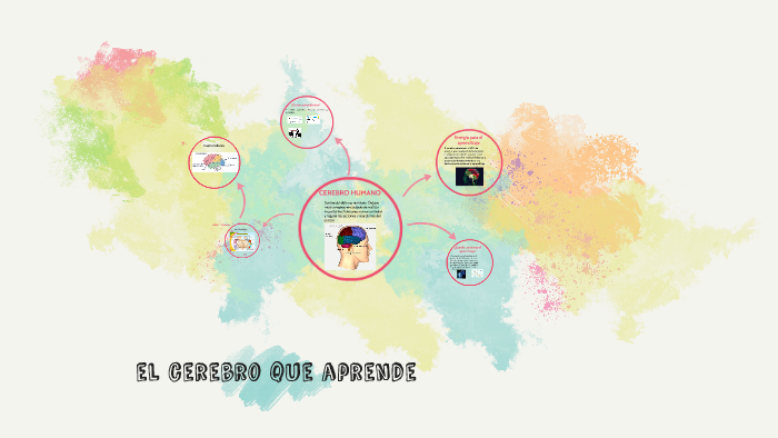 el cerebro que aprende by on Prezi